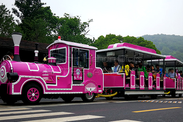 Adults Like to Ride on the 40 Seats Electric Train