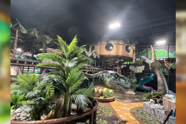 dinosaur theme indoor playground