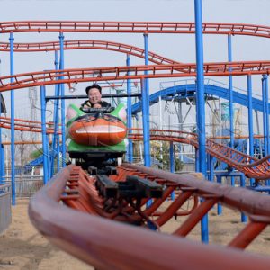 compact wild mouse roller coaster